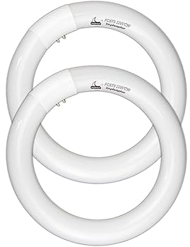 38灯MOLDS 2023 CHKADAWA FC8T9/CW Circular Fluorescent Light Bulb, 8 Inch